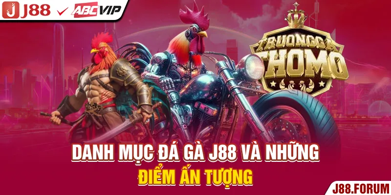 Danh mục đá gà J88 và những điểm ấn tượng