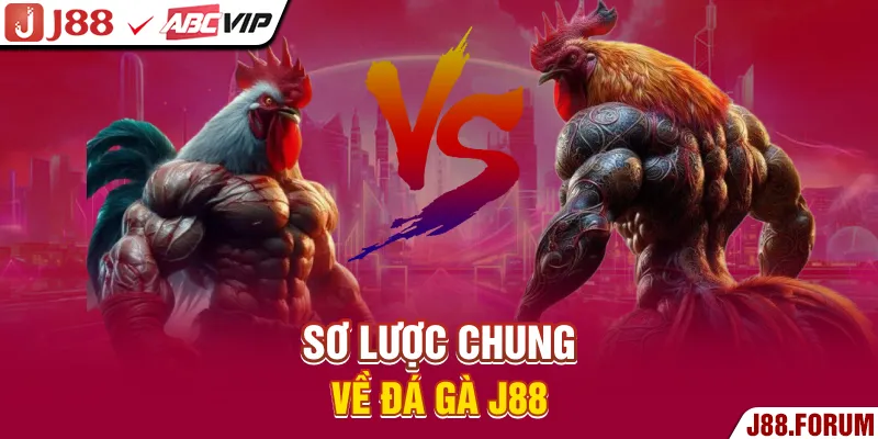 Sơ lược chung về đá gà J88