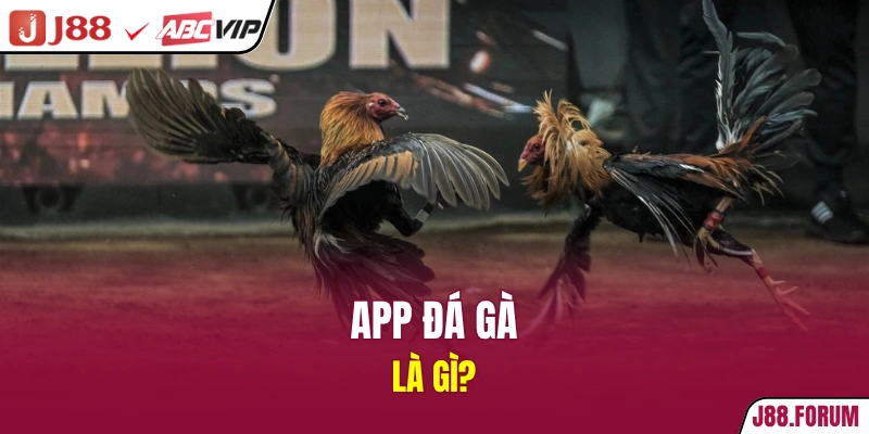 App đá gà là gì?