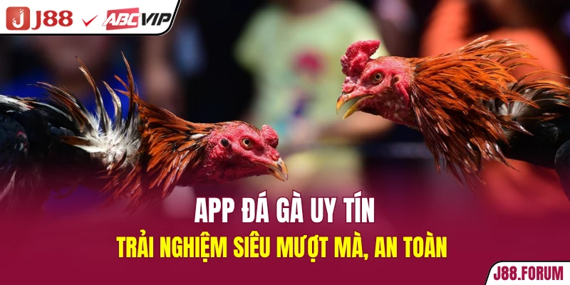 app đá gà