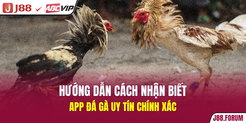 Hướng dẫn cách nhận biết app đá gà uy tín chính xác