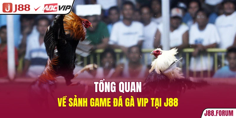 Tổng quan về sảnh game đá gà vip tại J88