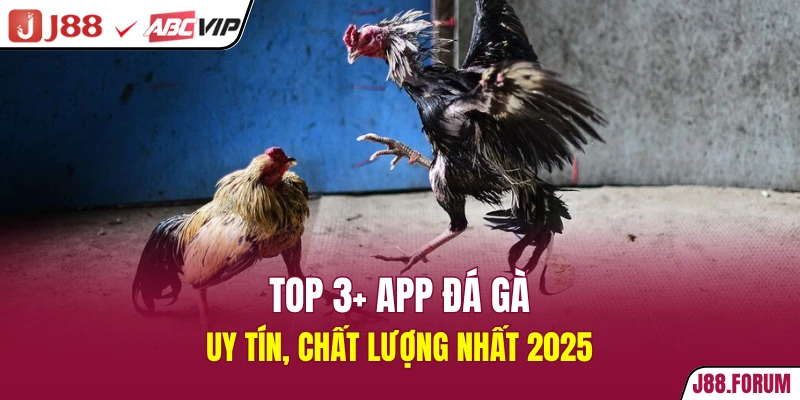 Top 3+ app đá gà uy tín, chất lượng nhất 2025